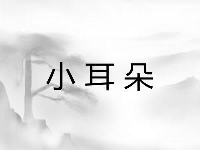 小耳朵 小耳朵