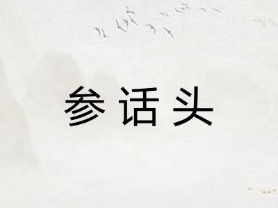 参话头 参话头