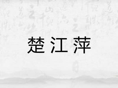 楚江萍 楚江萍