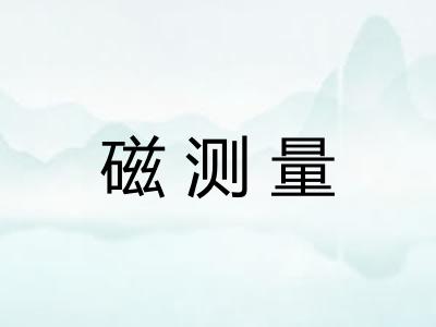 磁测量 磁测量