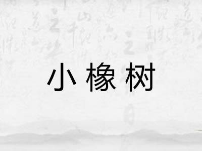 小橡树 小橡树