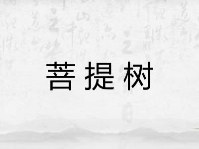 菩提树 菩提树