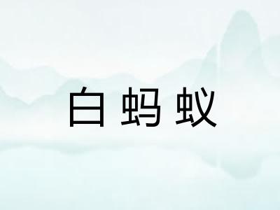 白蚂蚁 白蚂蚁