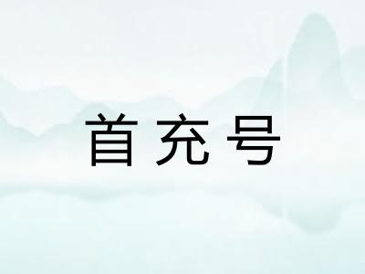 首充号