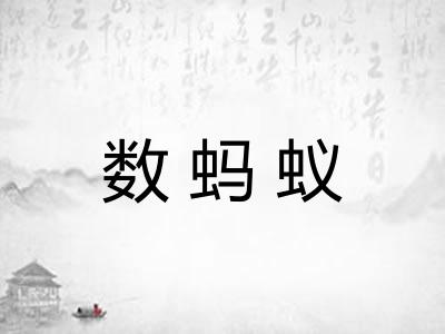数蚂蚁 数蚂蚁