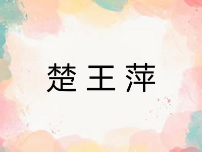 楚王萍 楚王萍