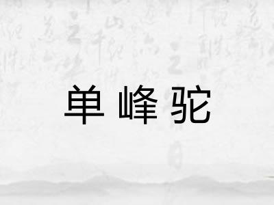 单峰驼 单峰驼