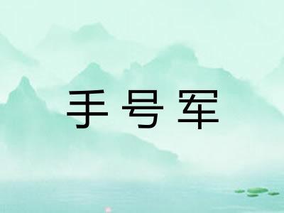 手号军 手号军