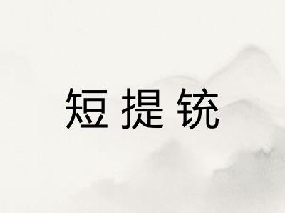 短提铳 短提铳