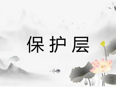 保护层 保护层