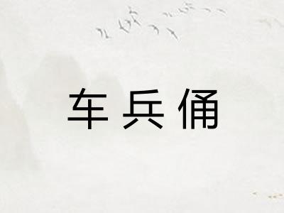 车兵俑 车兵俑