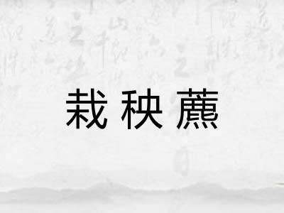 栽秧藨 栽秧藨