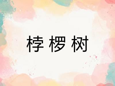 桲椤树 桲椤树