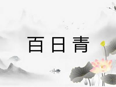 百日青