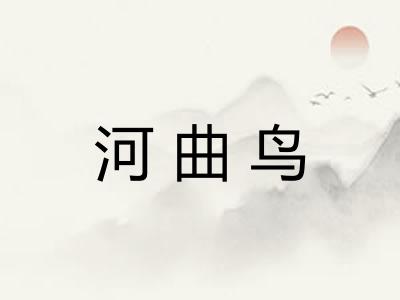 河曲鸟 河曲鸟