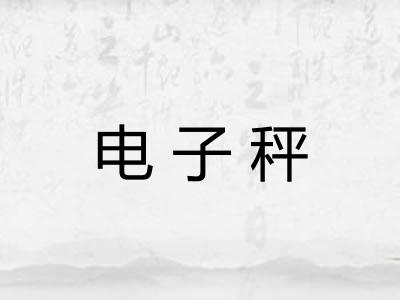 电子秤