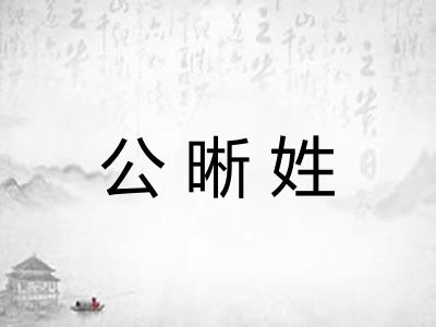公晰姓 公晰姓