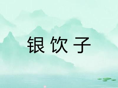 银饮子 银饮子