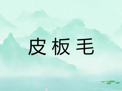 皮板毛 皮板毛