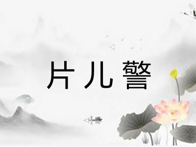 片儿警