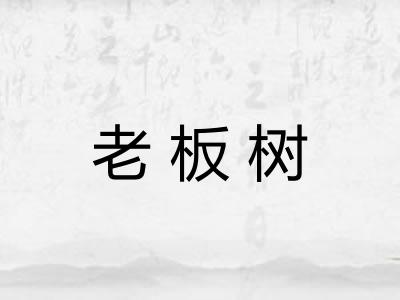 老板树 老板树
