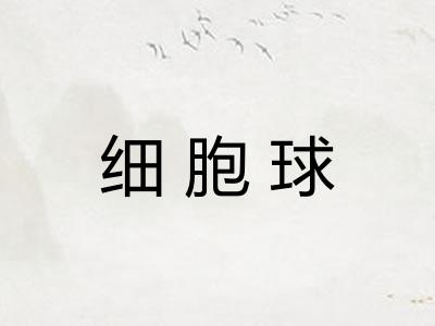 细胞球 细胞球
