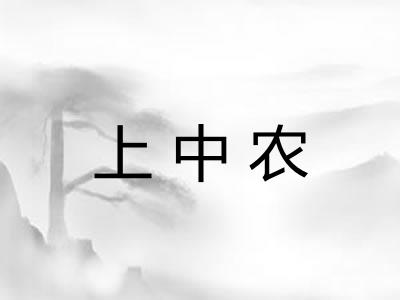 上中农