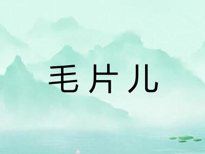 毛片儿 毛片儿