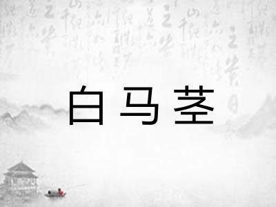 白马茎 白马茎