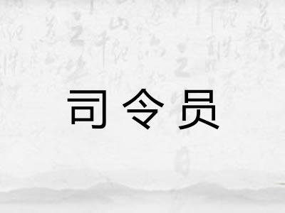 司令员 司令员