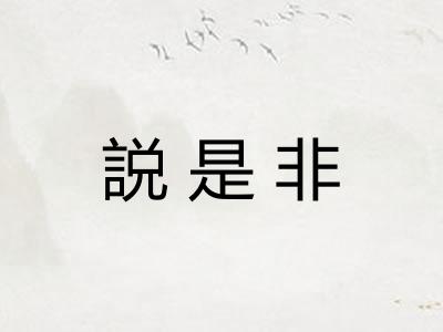 説是非