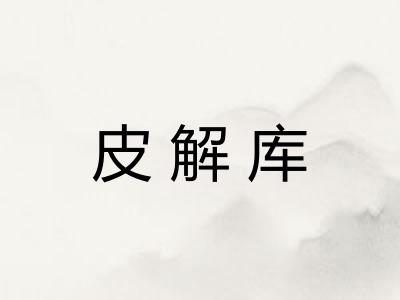 皮解库