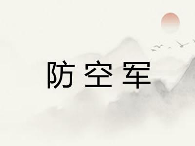防空军