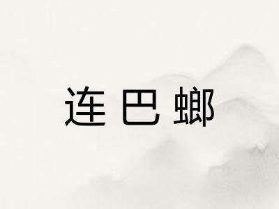 连巴螂 连巴螂