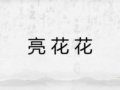 亮花花 亮花花