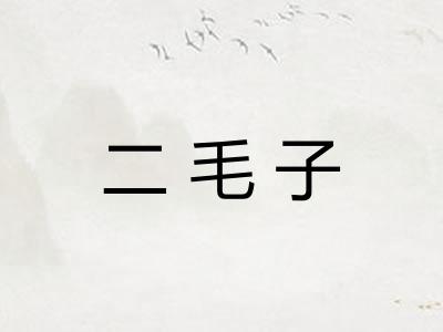 二毛子
