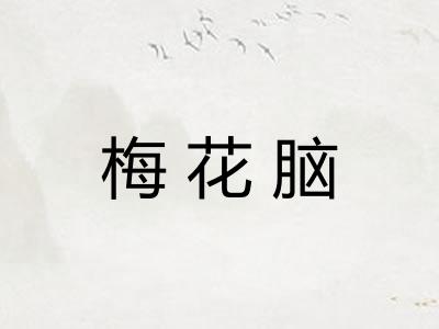 梅花脑