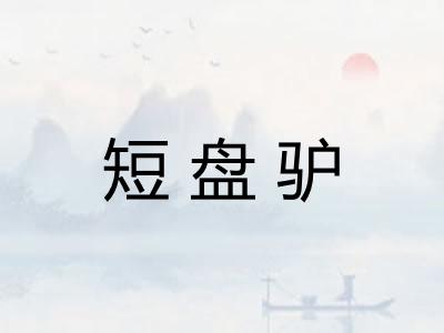 短盘驴