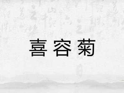 喜容菊 喜容菊