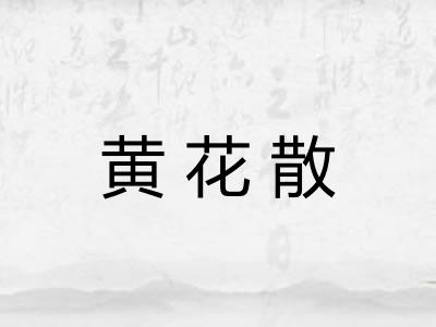 黄花散