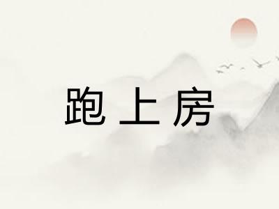 跑上房