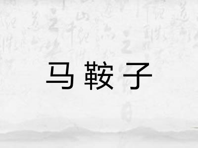 马鞍子 马鞍子