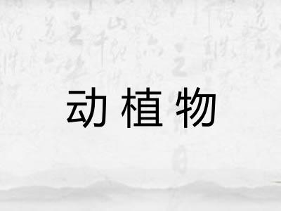 动植物