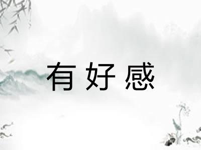 有好感 有好感