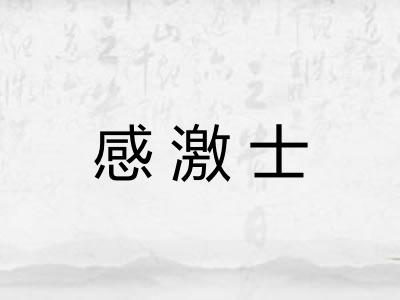 感激士 感激士