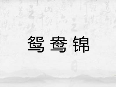 鸳鸯锦