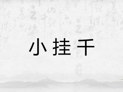 小挂千 小挂千