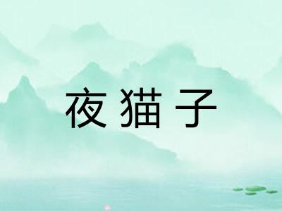 夜猫子 夜猫子