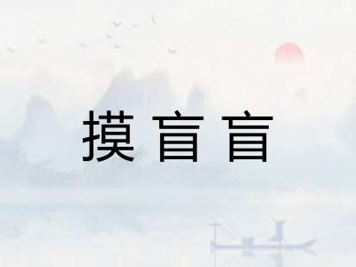 摸盲盲 摸盲盲