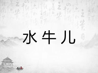 水牛儿 水牛儿
